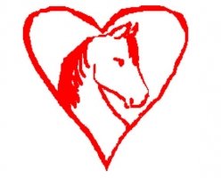 Veteran Coordinator for Queen of Hearts Equine Services for Heroes Program